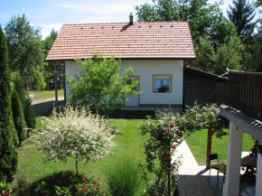  Apartment Ilija  Раковица